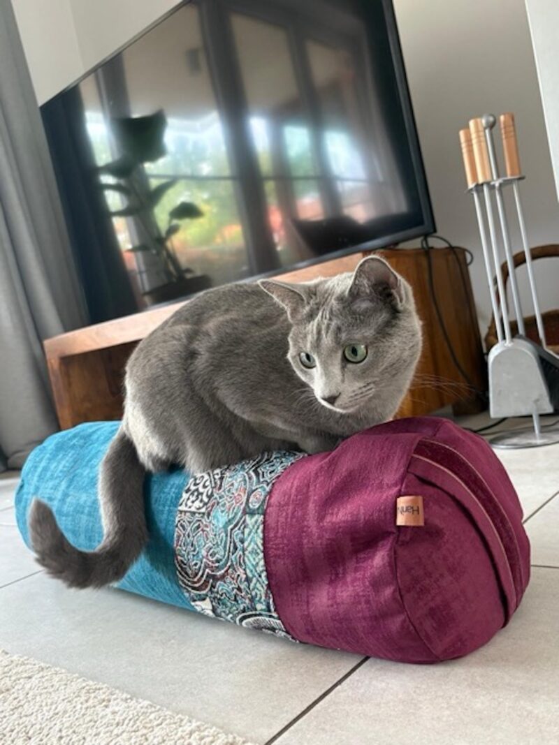 Duży wałek Desigual