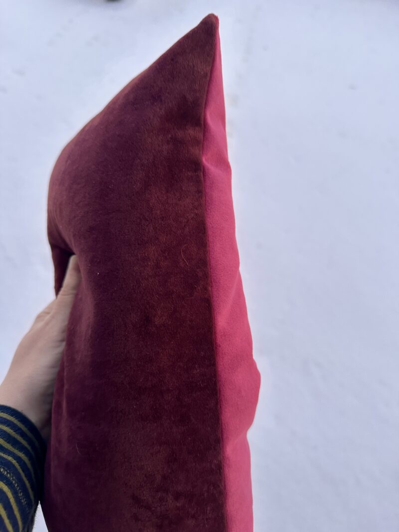 Półjasiek oberżyna